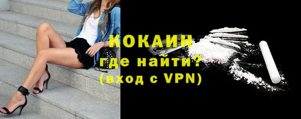ешки Алексин