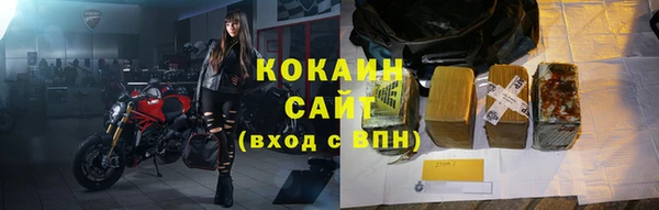 ешки Алексин